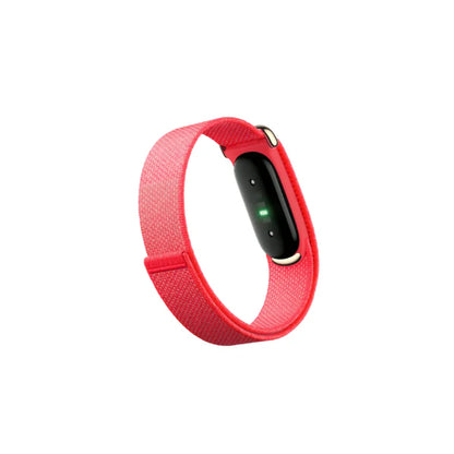 Google Fitbit Air Classic Berry