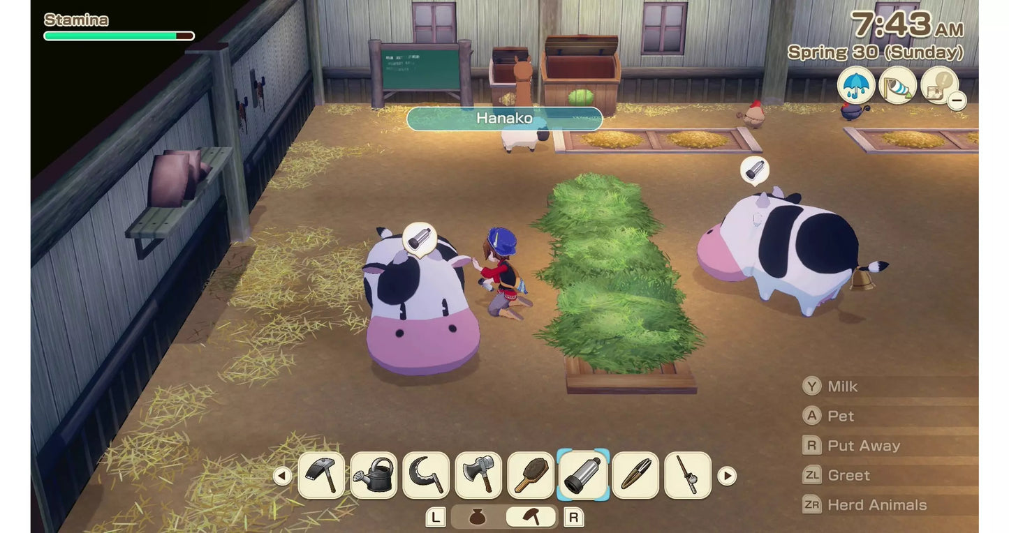 Story of Seasons Grand Bazaar Premium Edition Nintendo Switch 2
