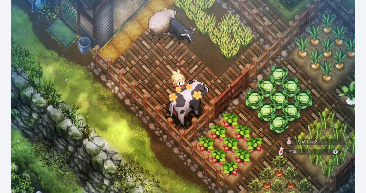 Village In The Shade Deluxe Edition Nintendo Switch 2