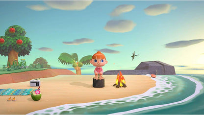 Animal Crossing New Horizons Nintendo Switch
