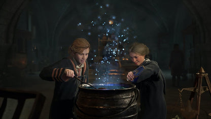 Hogwarts Legacy Nintendo Switch
