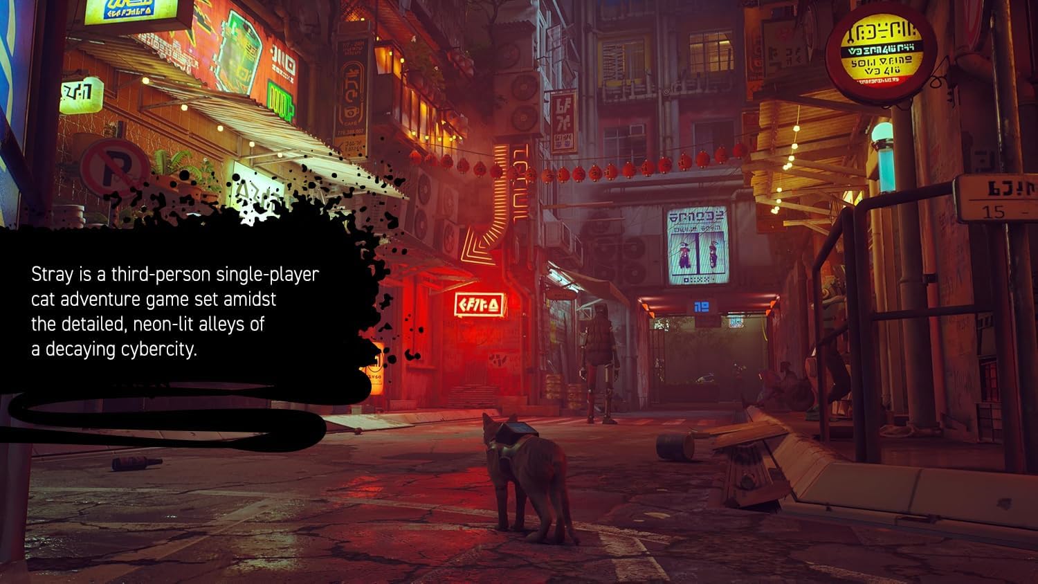 Stray Nintendo Switch