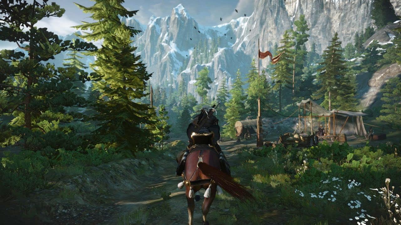 The Witcher 3 Wild Hunt Nintendo Switch