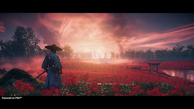 Ghost Of Tsushima Directors Cut Ps4