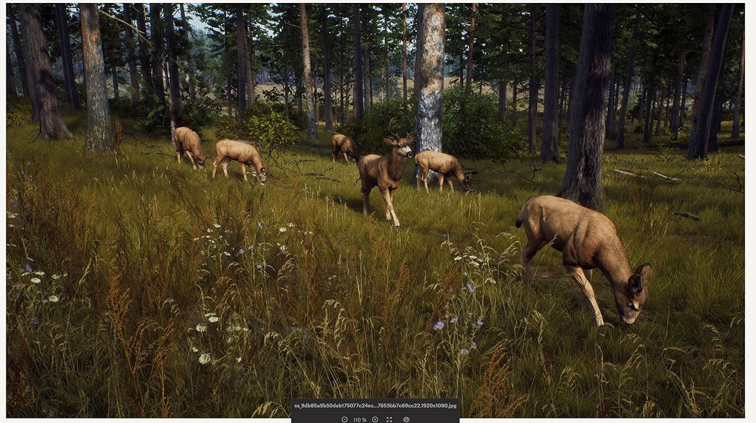 Way of the Hunter Ps5