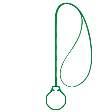 Swatch x Audemars Piguet Bioceramic Royal Pop Leather Lanyard Green Eight ACSSX03G100N S 7.08 INCH