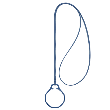 Swatch x Audemars Piguet Bioceramic Royal Pop Leather Lanyard Lan Ba ACSSX03L100N S 7.08 INCH
