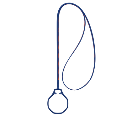 Swatch x Audemars Piguet Bioceramic Royal Pop Leather Lanyard Orenji Hachi ACSSX03L103N S 7.08 INCH