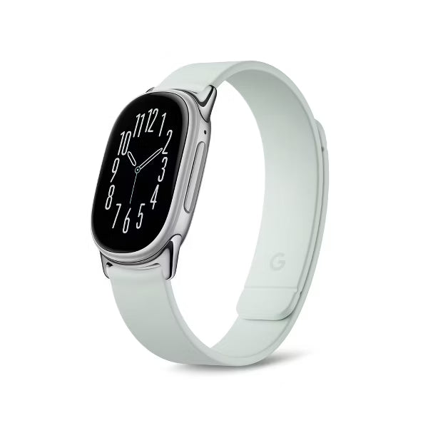 Google Fitbit Edge Magnet Band Fog, Satin Silver Lugs