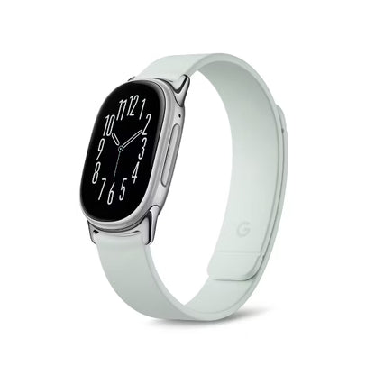 Google Fitbit Edge Magnet Band Fog, Satin Silver Lugs