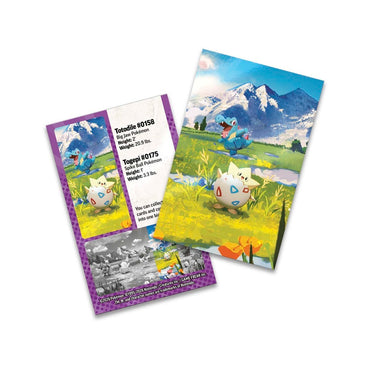 Pokemon TCG Mega Evolution Ascended Heroes Mini Tin Togepi & Totodile