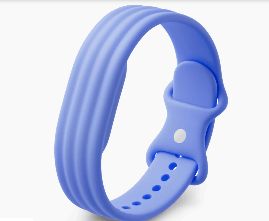 Google Fitbit Air Active Band Lavender Small