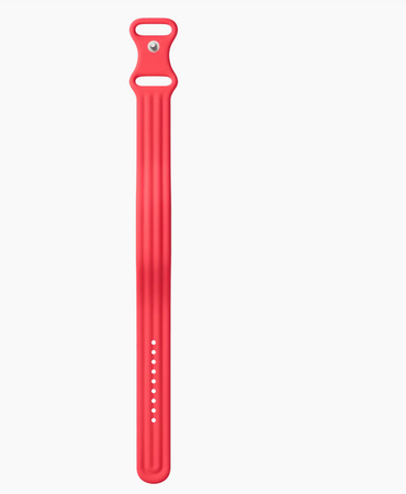 Google Fitbit Air Active Band Berry Large