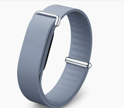 Google Fitbit Air Elevated Modern Band Moonstone