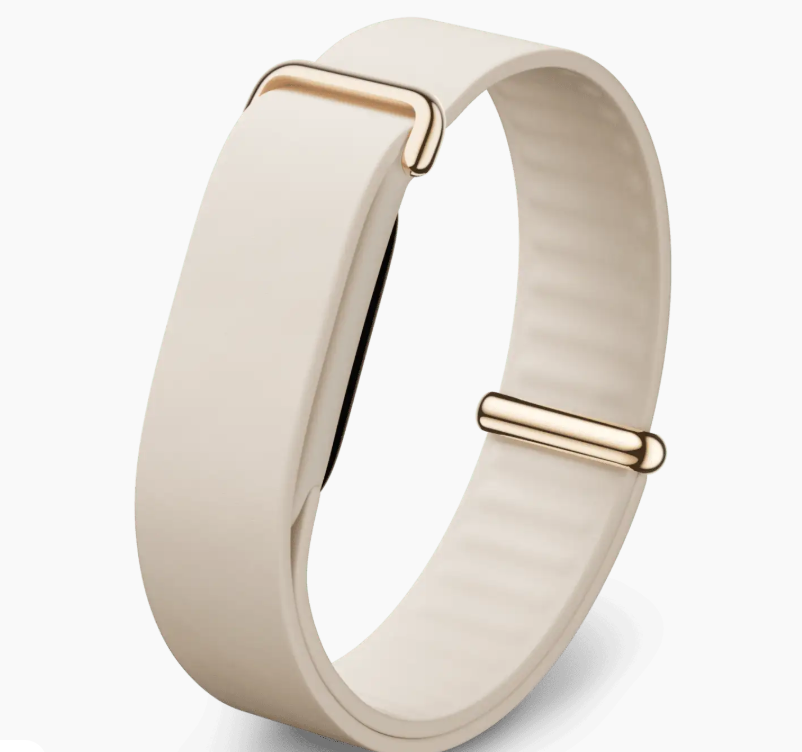 Google Fitbit Air Elevated Modern Band Porcelain