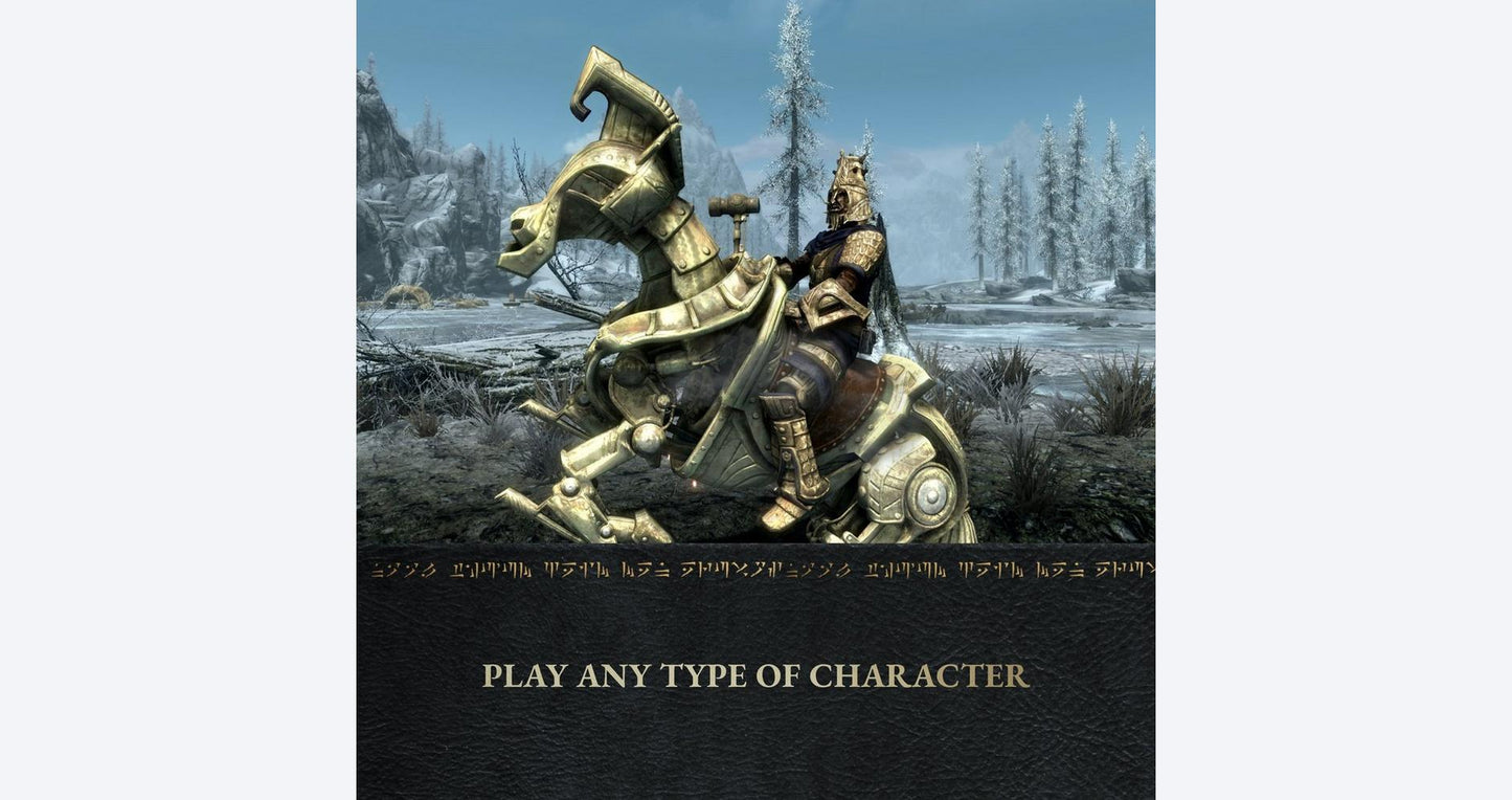 The Elder Scrolls V Skyrim Anniversary Edition Nintendo Switch 2 Code In Box
