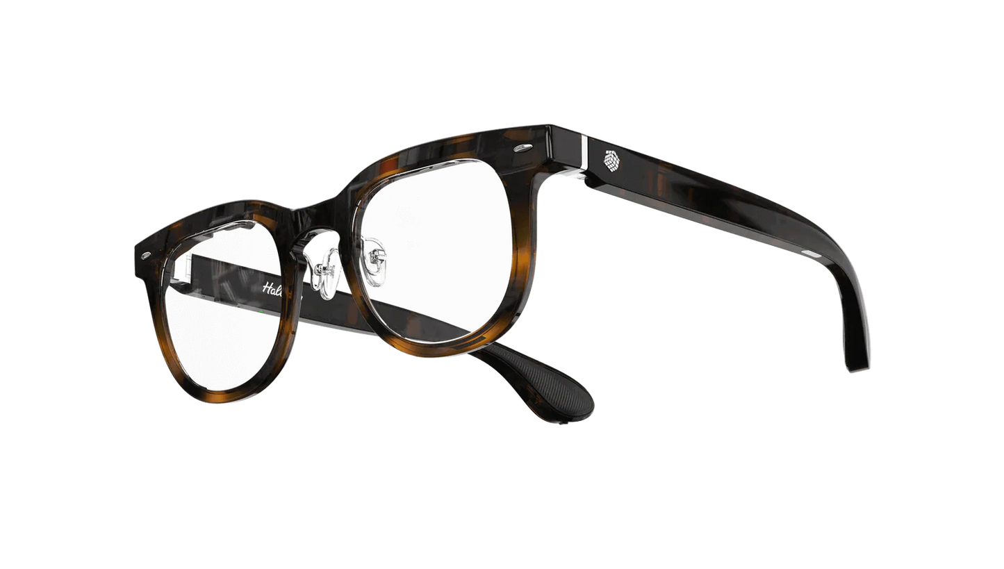 Halliday DigiWindow Glasses Tortoise Non-Prescription Classic